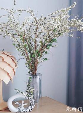 雪柳鲜枝泡水开真花养寸枝寸插花瓶干树金枝柳枝干花包遇水水开花