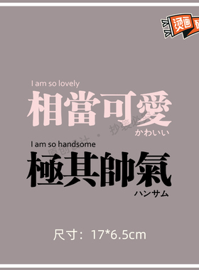 相当可爱极其帅气情侣烫画贴热转印布贴印花个性文字创意贴花印图