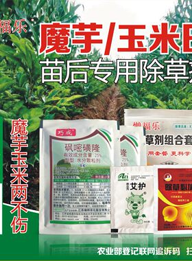 魔芋玉米田套种专用除草剂魔芋除草剂对魔芋玉米安全全田喷雾不伤