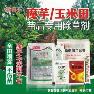 魔芋玉米田套种专用除草剂魔芋除草剂对魔芋玉米安全全田喷雾不伤