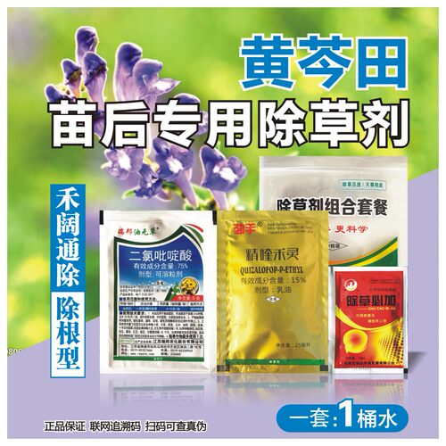 黄芩除草剂黄芩苗后专用除草剂刺儿菜茵陈草蒿草禾阔通黄芩杀草剂