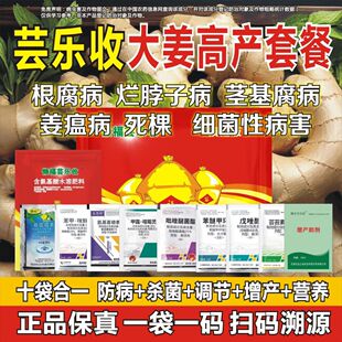 大姜生姜沙姜姜瘟专用套餐姜瘟病烂脖子叶斑病根腐病大姜高产套餐