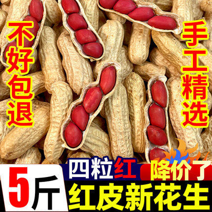 东北红衣生花生米500g黑龙江四粒红花生仁新鲜红皮不带壳新货米仁