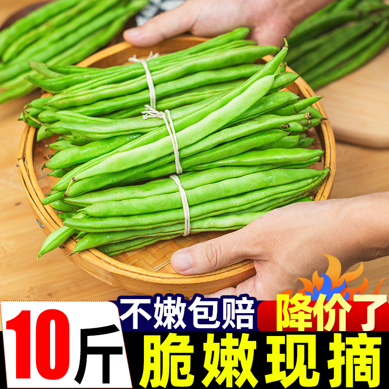 云南新鲜现摘四季豆豆角10斤长扁豆角生鲜蔬菜豌豆芸豆刀豆包邮3