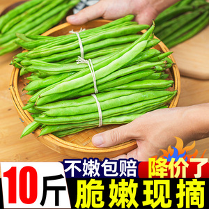 广西新鲜现摘四季豆豆角10斤长扁豆角生鲜蔬菜豌豆芸豆刀豆包邮3