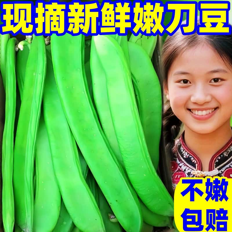 广西刀豆新鲜嫩豇豆碗豆芸豆扁豆农家蔬菜腌制下饭菜酸辣豆角批发