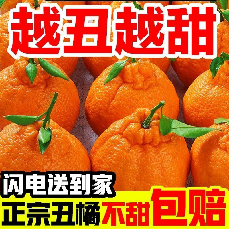 【丑橘回购榜】官方专营店