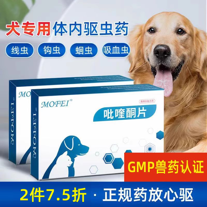 mofei小中大型犬体内除虫药狗狗金毛哈士奇宠物打虫药吡喹酮片 宠物/宠物食品及用品 猫驱虫药 原图主图