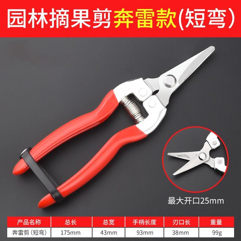 保联家用剪刀树枝剪手工小型花枝剪果树修枝剪刀园艺省力修花枝剪