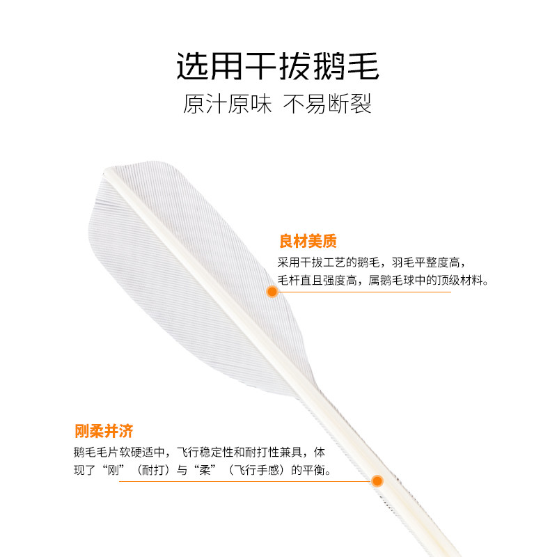 闪电6号 一二级鹅毛全圆拉直 主打飞行稳定俱乐部极力推荐羽毛球图片