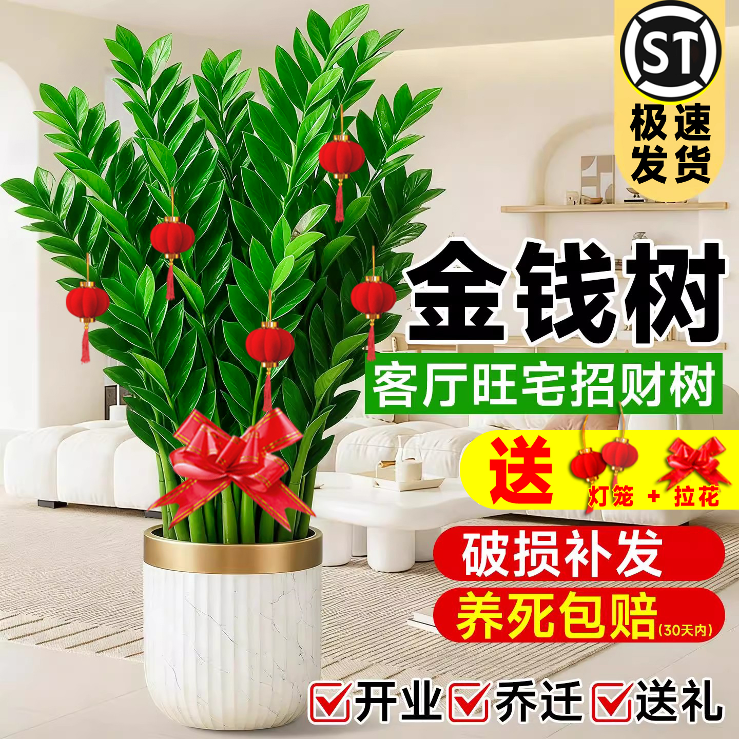 金钱树盆栽植物室内客厅绿植好养花卉办公室招财树大花盆摇钱串子