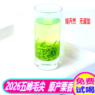 2026年新茶宜昌采花五峰毛尖高山散装湖北茶叶绿茶栗香耐泡