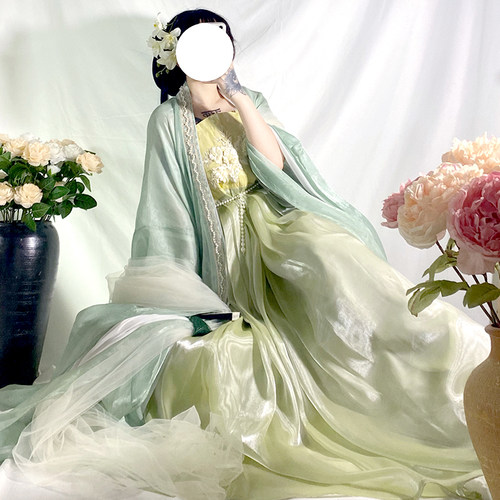 唐制诃子裙中国风原创大袖衫