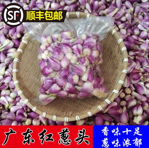 广东红葱头去皮剥皮熬油正宗新鲜葱油商用香葱餐饮【顺丰包邮】