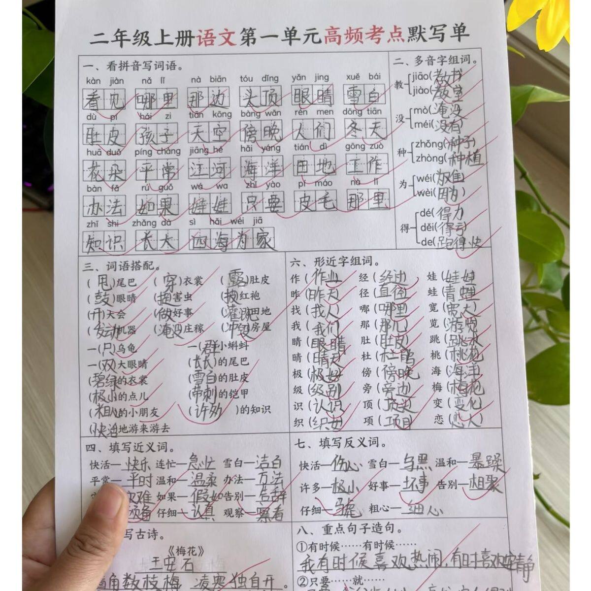 25新二年级上册语文1-8单