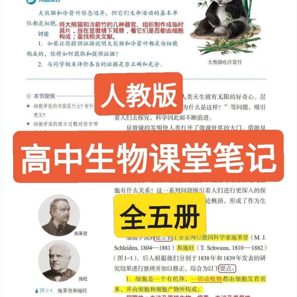 高中生物课本笔记彩印A4