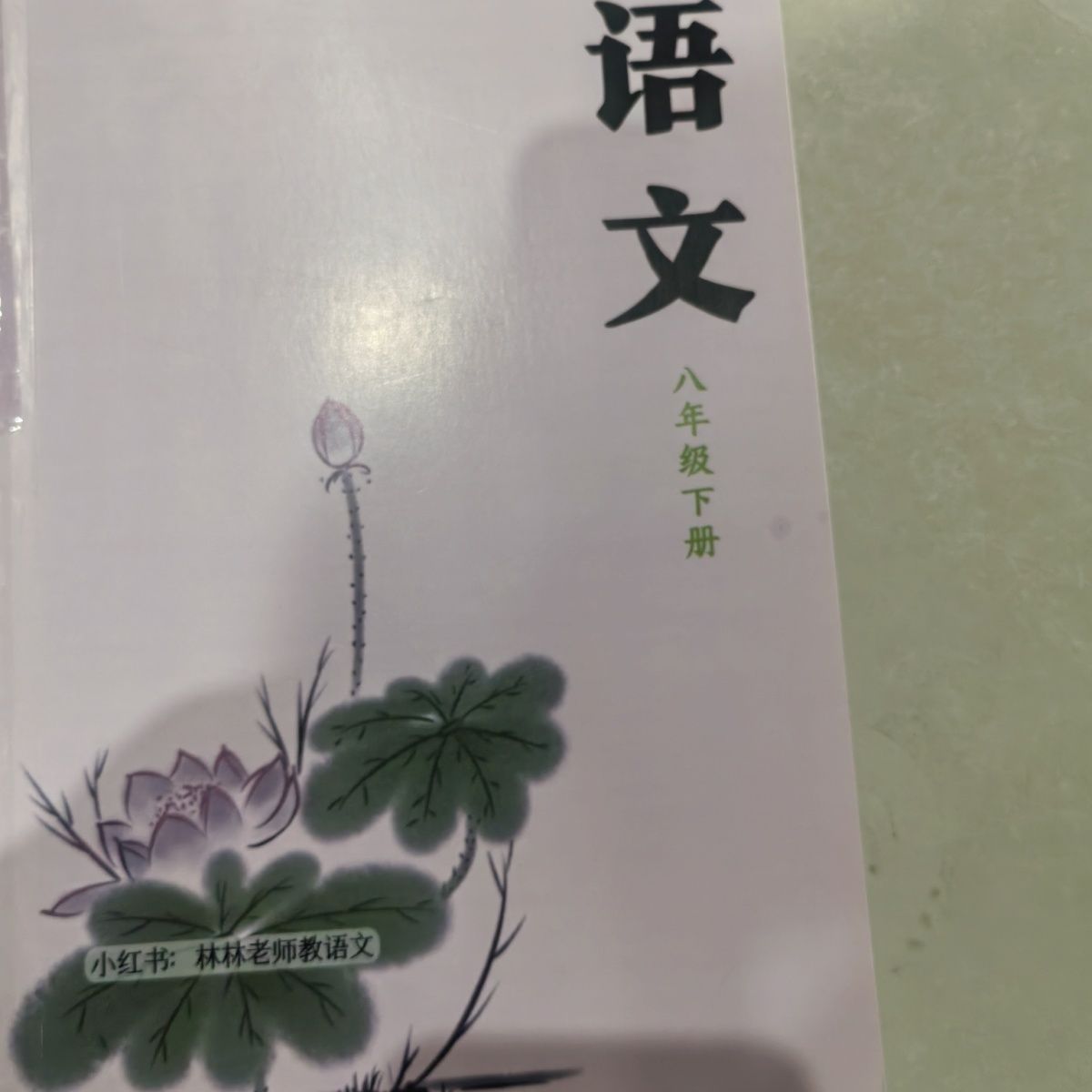 林林老师八年级上下册语