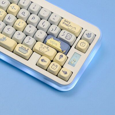 无品牌/无注册商标以实际为准PBT