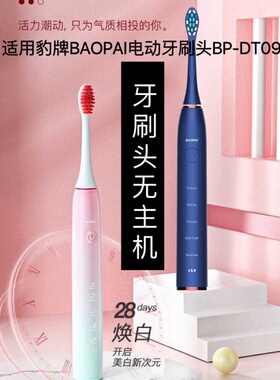 适配于豹牌BAOPAI电动牙刷头BP-DT09软毛成人替换头