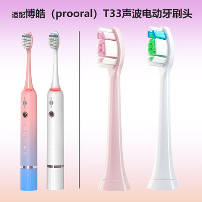 适配博皓(Pral)T33声波电