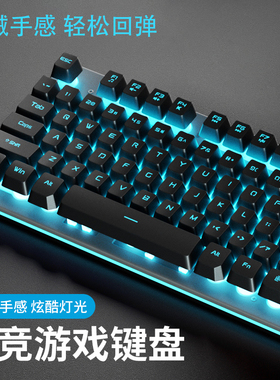 有线发光键盘鼠标套装游戏电脑台式笔记本悬浮键帽机械手感USB头