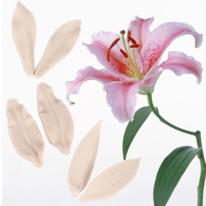仿真百合花瓣 叶片纹路夹模 翻糖 慕斯 巧克力烘焙模具 厨房用具
