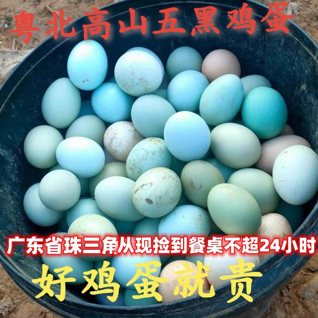 顺丰高山农家散养新鲜五黑鸡土鸡蛋月仔蛋60个杂粮正宗土鸡蛋