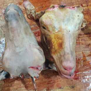 顺丰韶关农家跑山黑山羊头带舌头耳朵皮整只新鲜现杀现发煲汤火锅