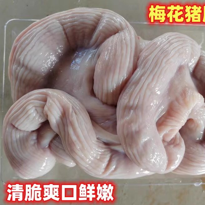 梅花跑山猪新鲜猪肚猪大肠粉肠竹