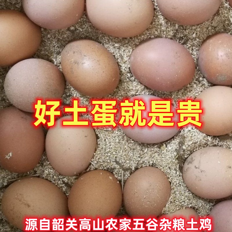 孕妇散养土鸡蛋农家鸡蛋新鲜