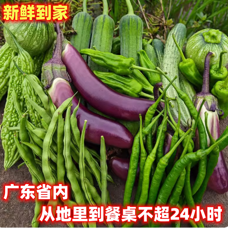 韶关农家新鲜甜菜心包菜土豆萝卜