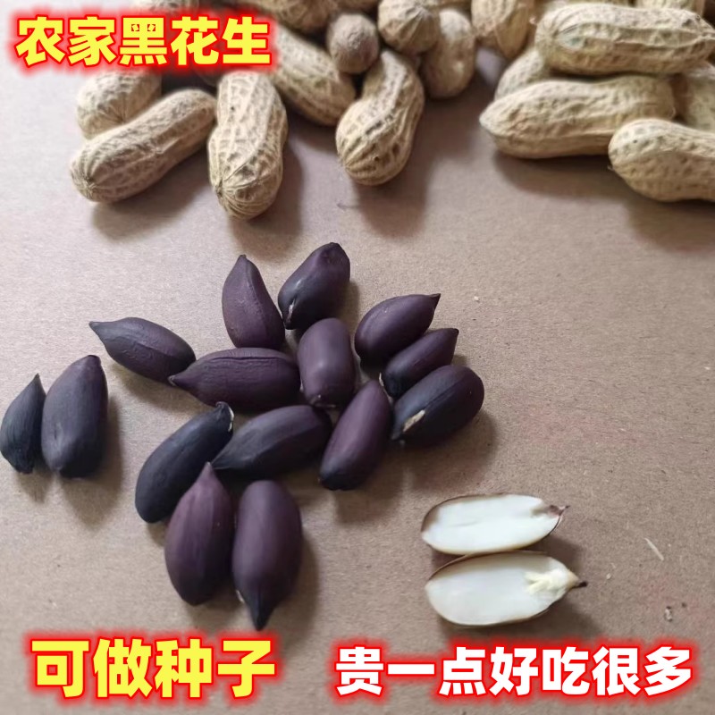 农家黑皮花生新鲜晒干5斤图片