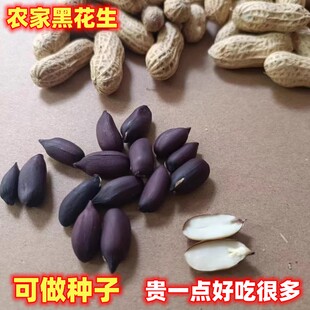 韶关农家黑皮花生新鲜晒干5斤香甜清脆非转基因本地老品种子