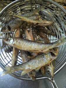 韶关高山河野生河虾河鱼炸河鱼仔干炸河虾香辣味好吃看得见