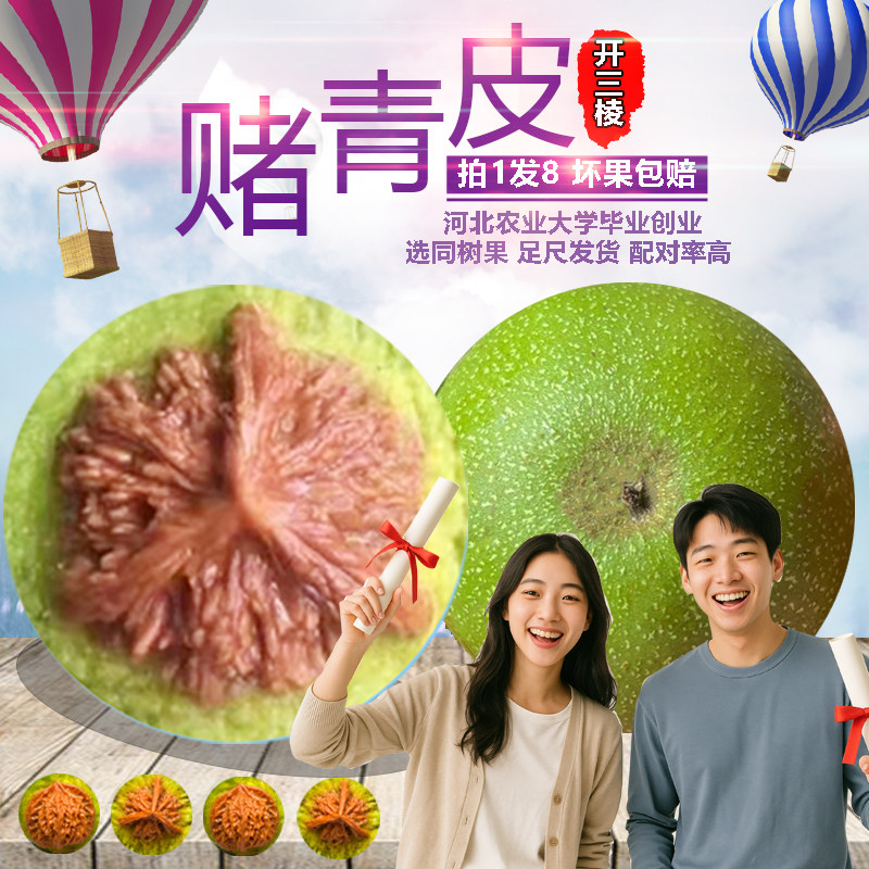 原树果青皮核桃文玩赌三棱文玩核桃精品四座楼狮子头官帽蛤蟆头