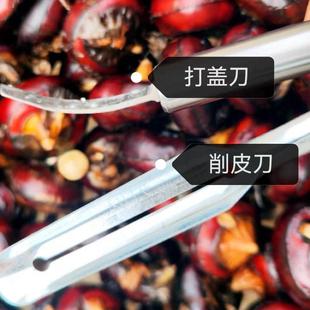 马蹄专用削皮刀马蹄荸荠打盖削皮刀 水果蔬菜削皮神器