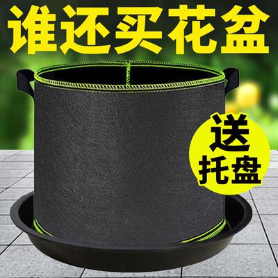 美植袋无纺布种植袋花盆托盘阳台楼顶蔬菜种花种植果树袋子育苗袋