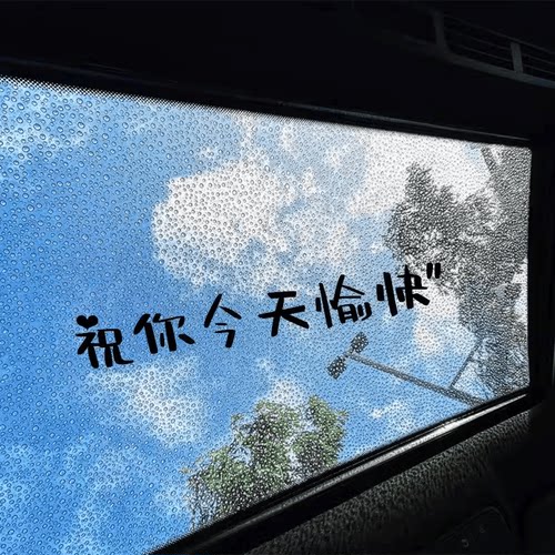 个性文字创意防水遮阳反光贴画
