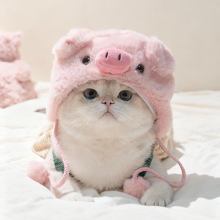 可爱小猪宠物猫咪狗狗网红兔耳朵小鸡头套帽子头饰装扮搞怪变装帽