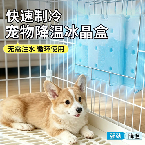 宠物降温散热板快速制冷可循环