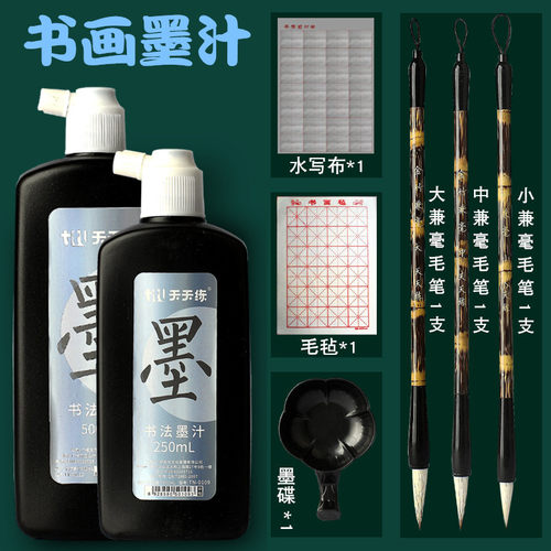 天天练墨汁书法专用毛笔墨水500g