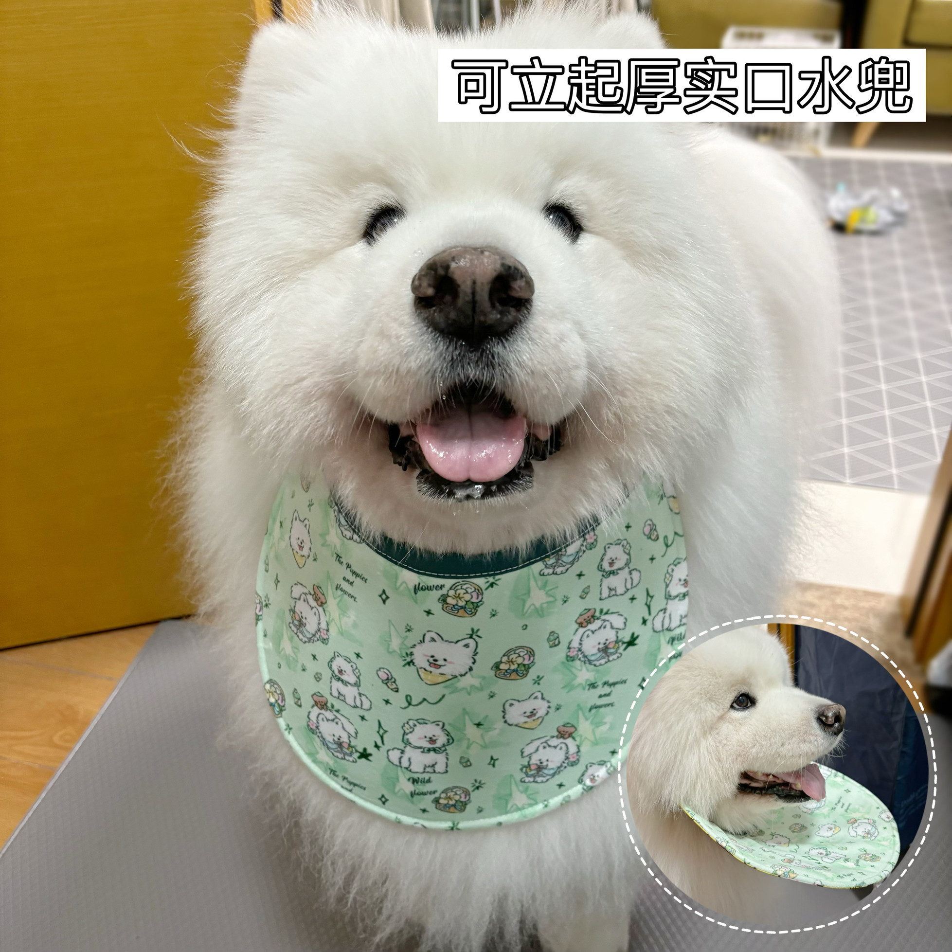 狗狗可立起厚实口水兜