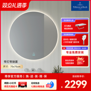 带灯带除雾 浴室镜卫生间镜子 德国唯宝