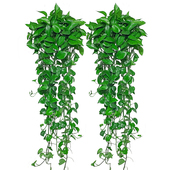 绿萝盆栽绿植室内爬墙好养净化空气植物客厅水培大叶绿箩长藤垂吊