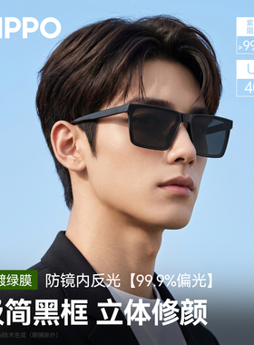 ZIPPO墨镜方框户外防晒防紫外线潮流高颜值太阳眼镜67360