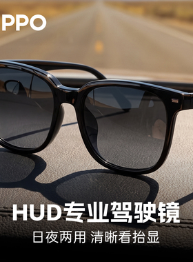 ZIPPO太阳镜男户外防紫外线高清HUD偏光护眼开车专用驾驶镜69150