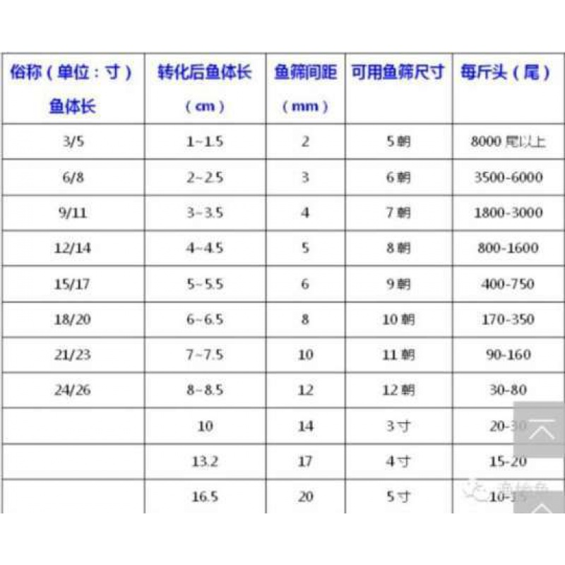 BG54塑料鱼筛鱼苗苗种黄颡鱼泥鳅龙虾对虾大小分级塑胶筛子分选分