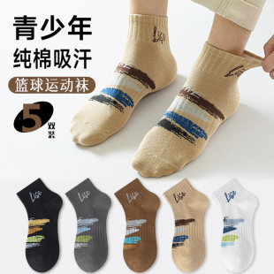 短袜青少年男孩运动吸汗全棉男袜ins潮流大码 新款 袜 纯棉秋季 袜子