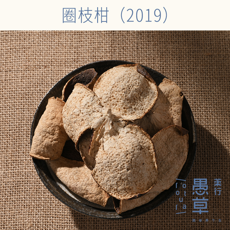 【愚草】圈枝柑（2019），新会陈皮 新会东甲道地19年新皮 收藏级