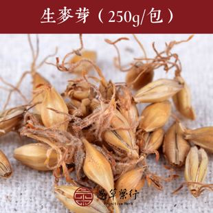 【愚草】生麦芽河北  麦芽 此链接为生品 250克/包